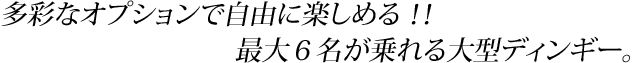 多彩なオプションで自由に楽しめる！！最大6名が乗れる大型ディンギー